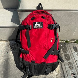 Gregory Old Day Bag